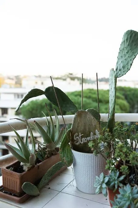 Appartamento Casa 'Ttaja - Mediterranean Eco-Apartment Roma